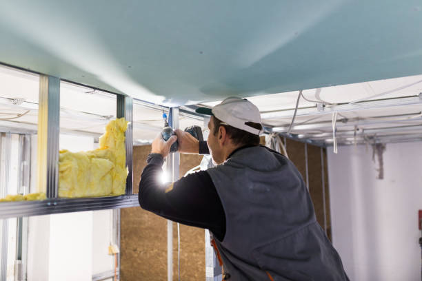 Best Insulation for New Construction  in Slaton, TX
