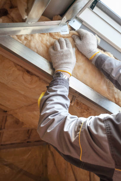 Insulation Inspection Services in Slaton, TX