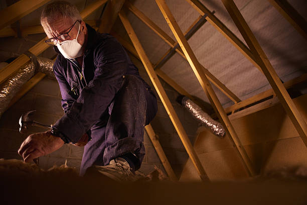 Best Insulation Replacement Services  in Slaton, TX
